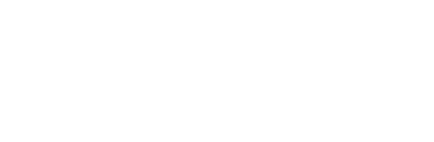 cocacola beverage company