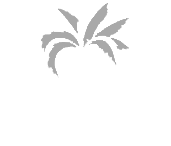 Dalda
